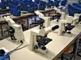 microscope bontemps