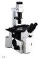 microscope bontemps