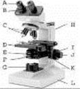 microscope bontemps